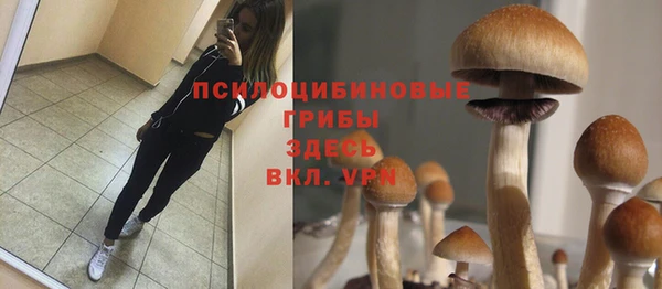кокс Богородск