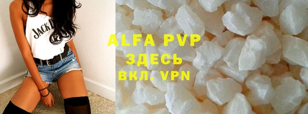 метадон Богданович