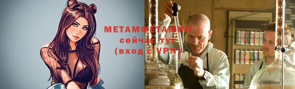 метадон Богданович