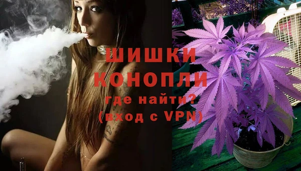 метадон Богданович