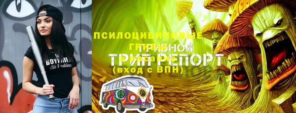 метадон Богданович