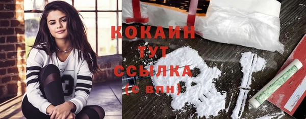 дмт Богородицк