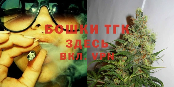 метадон Богданович