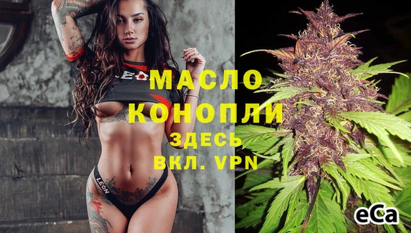 метадон Богданович