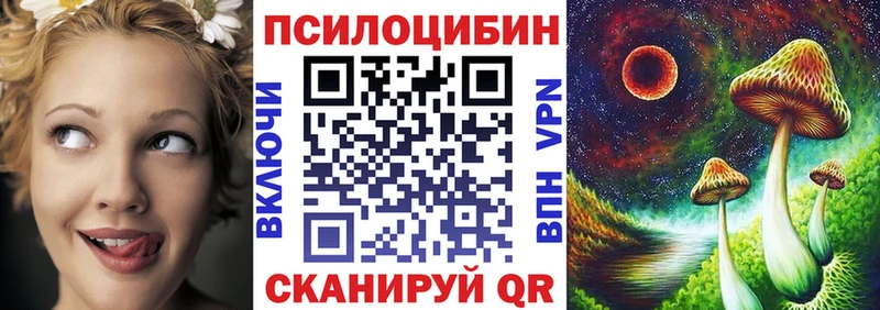 Галлюциногенные грибы Psilocybine cubensis  Купить  Арск 