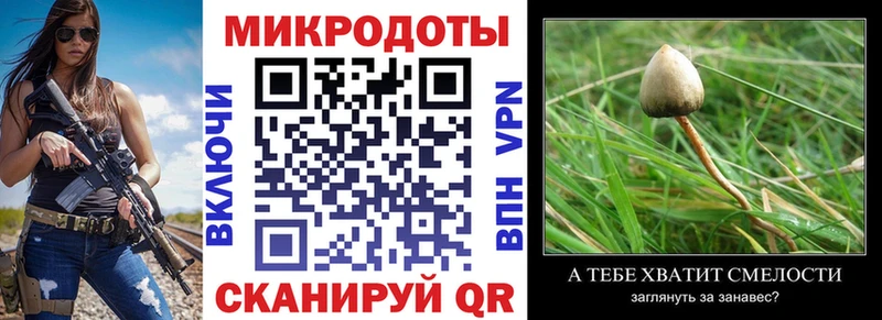 Галлюциногенные грибы прущие грибы Арск